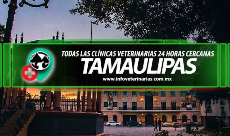 Mejores Veterinarias en Matamoros MX