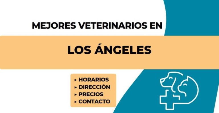 Mejores Veterinarios en Los Angeles LA